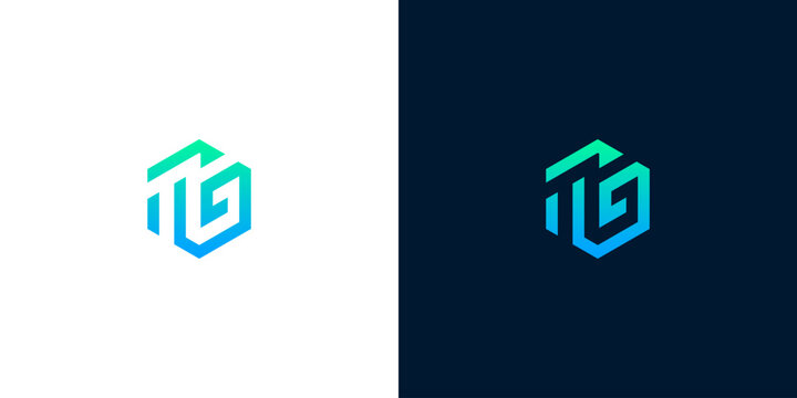 Hexagonal Geometric Monogram Logo Featuring Interlocking Letter T and G Typography for Modern Tech Brand Identity