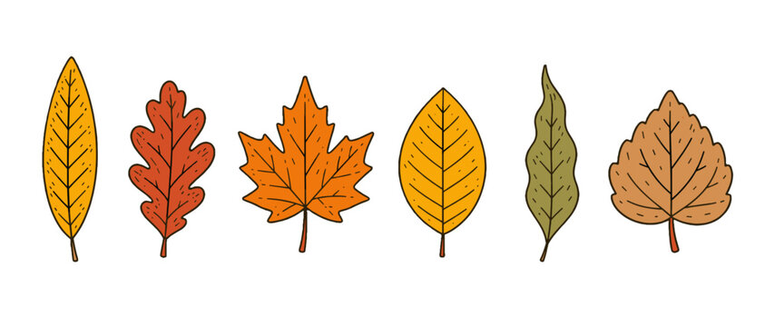 Set of hand drawn autumn leaves in simple vector style