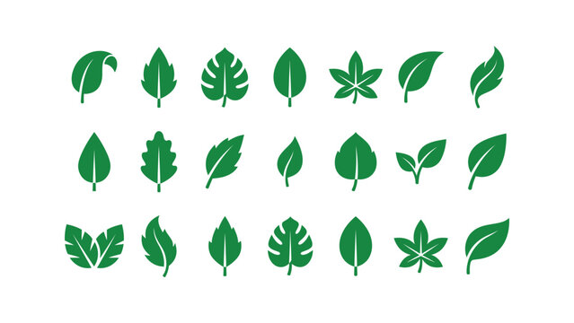 Collection Of Green Leaf Shapes And Botanical Silhouettes On A White Background leaves foliage flora