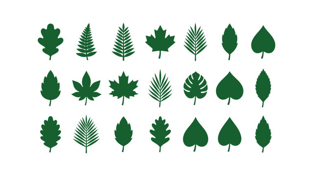 Collection of green leaf silhouettes against a white background showcasing diverse botanical shapes leaves foliage