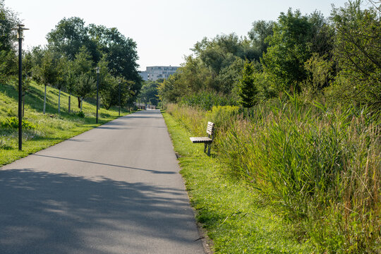 A long paved path winds through a green park lined with young trees, lamp posts, and wooden benches. Distant apartment buildings rise beyond the tall grass and reeds bordering the trail.