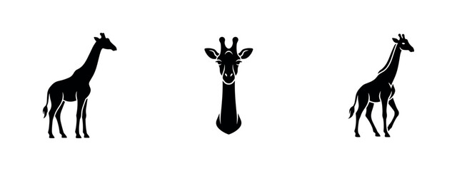 Giraffe icon set. Tall African mammal in full body and head-on view, black silhouette illustration. © Lili