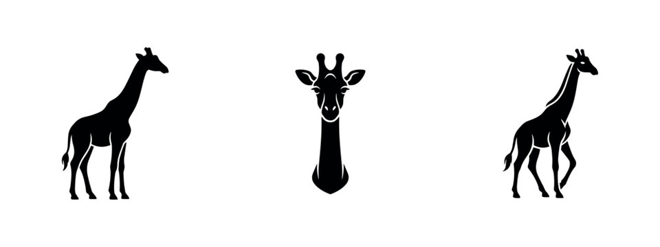 Giraffe icon set. Tall African mammal in full body and head-on view, black silhouette illustration.