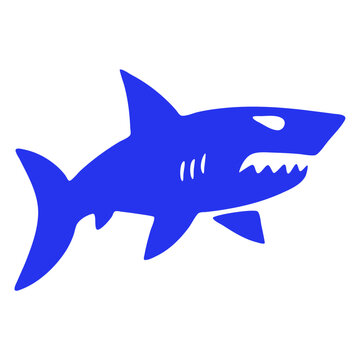 Shark Solid Animal Fauna Wildlife