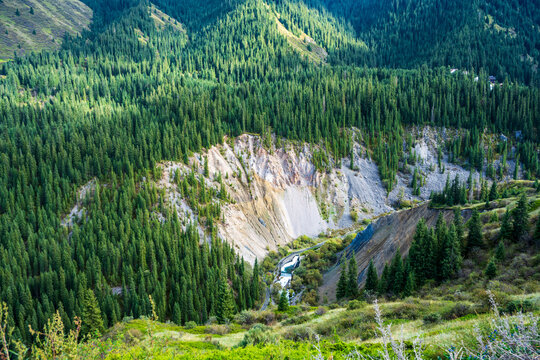 Coniferous forest and rocky ravine in Kegen District