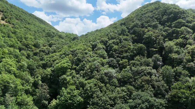 Ampio paesaggio montano ricoperto da foresta verde con pendii ripidi, vegetazione fitta e pareti rocciose esposte