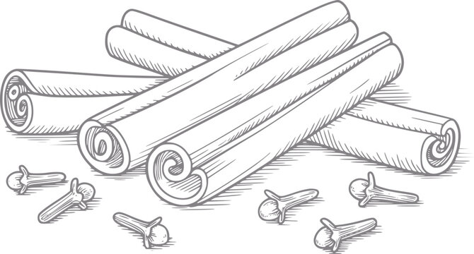 Dibujo a mano de palitos de canela arom&aacute;ticos y clavos de olor enteros, culinario y especia