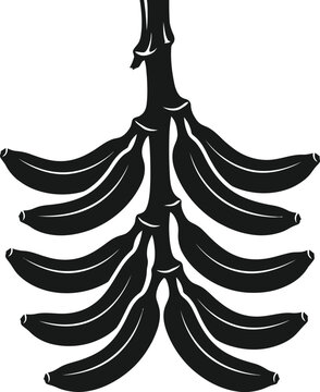Banana bunch silhouette isolated on transparent background tropical fruit illustration