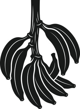 Banana bunch silhouette isolated on transparent background tropical fruit illustration