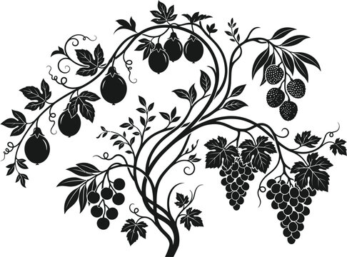 Black silhouette of grape vines berries and leaves isolated on transparent background