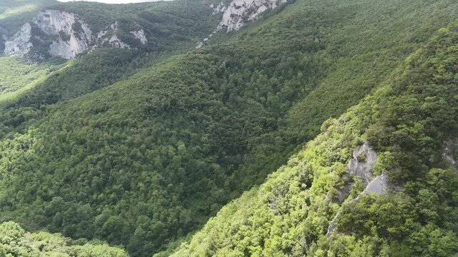 Ampio paesaggio montano ricoperto da foresta verde con pendii ripidi, vegetazione fitta e pareti rocciose esposte