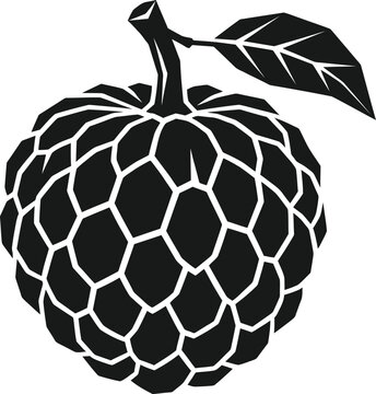 Soursop silhouette isolated on transparent background tropical fruit vector illustration