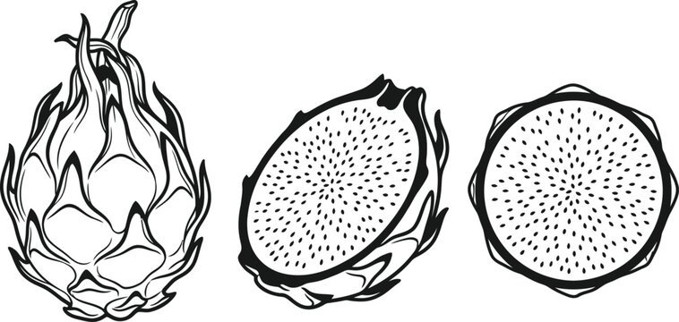 Dragon fruit silhouette set isolated on transparent background whole half and slice