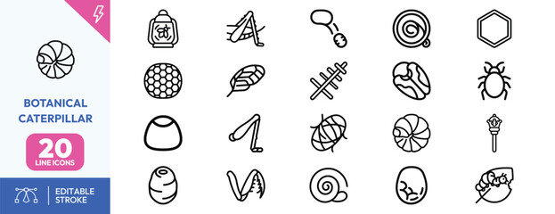 Metamorphosis set. caterpillar, pupa, beetle, leaf, snail, magnifying glass, flower, seed pod. Editable stroke. Vector illustration. © Deezora