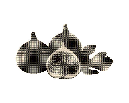 Fresh figs cut open revealing vibrant red seeds with green leaf. Vintage retro halftone vector illustration of ripe fruit with circle dots pattern...