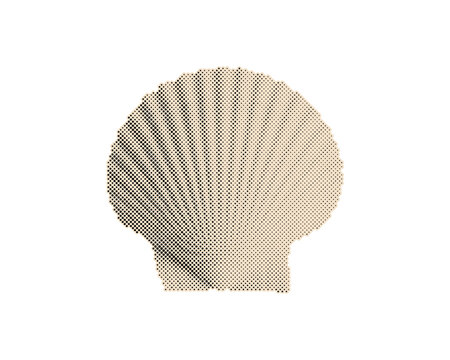 Vintage retro halftone seashell vector illustration with circle dot pattern. Classic nostalgic shell design element isolated on transparent background