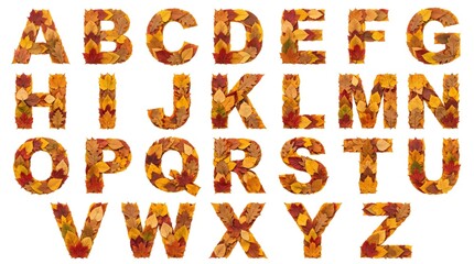 Naklejka premium Full Set of Alphabet Letters Made of Autumn Leaves Isolated on White Background, Seasonal Typography for Fall Designs
