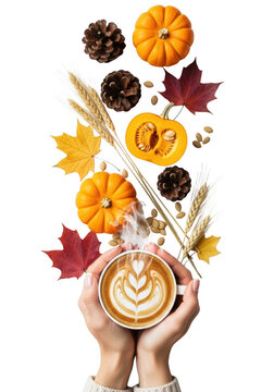 Hands holding a cup of coffee.
