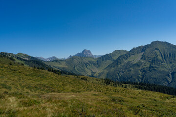 Fototapeta premium A panoramic view from the Falzerkopf mountain in Bregenzerwald, Vorarlberg, revealing rolling green alpine meadows and the prominent peak of the Grosser Widderstein under a clear blue sky