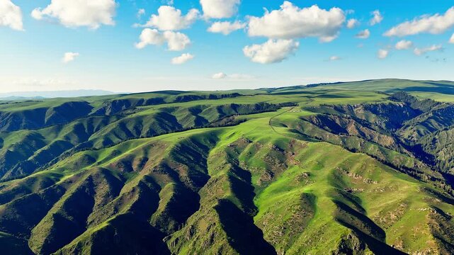 Aerial drone view of green rolling hills and lush alpine meadows in Kalajun Grassland, Xinjiang, China.
