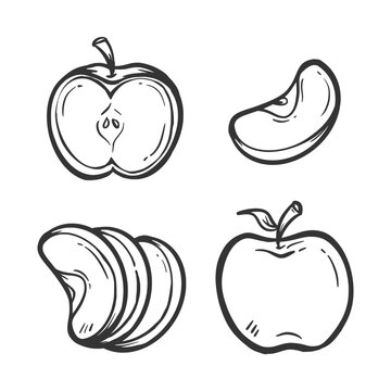 Apple fruit doodle collection. Apple slice vector elements. Ripped fruit outline hand drawn illustration set containing apple slices. Healthy food clip art sticker set.