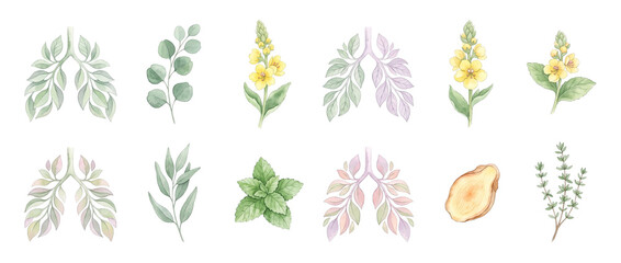 Naklejka premium Herbal lung health watercolor set featuring botanical herbs for wellness remedies including eucalyptus, mullein, peppermint, thyme, ginger, natural respiratory medicine isolated on black background.