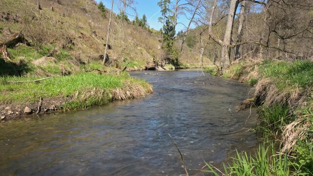 relaxing view on a flowing creek with nature sounds