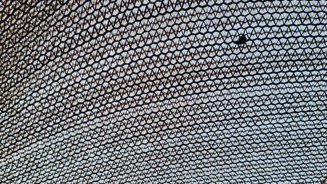 Looking up at black garden shading net texture background under sunlight