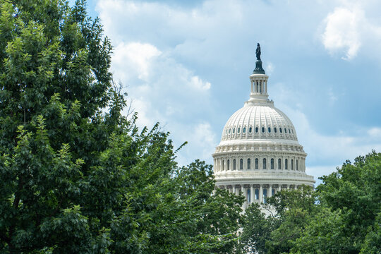 United States Capitol Dome Framed by Green Trees Under Dramatic Cloudy Sky