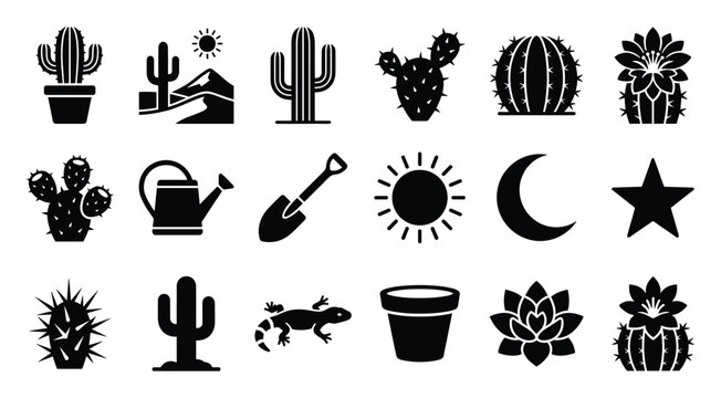Set of desert and gardening themed glyph icons featuring various cacti, succulent plants, celestial objects, and tools for web graphics and mobile applications