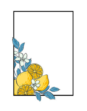 Vertical rectangular frame with yellow lemons, citrus slices, white flowers and blue leaves in corner. Hand drawn illustration