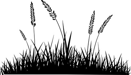 清潔な白い背景に孤立した、野生の草原の草と小麦の茎のミニマリストな黒いシルエット © Ripa_Moni