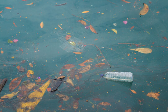 plastic bottle and floating debris polluting body of water, plastic waste, environmental contamination, water pollution, aquatic ecosystems, concept of sustainability, conservation
