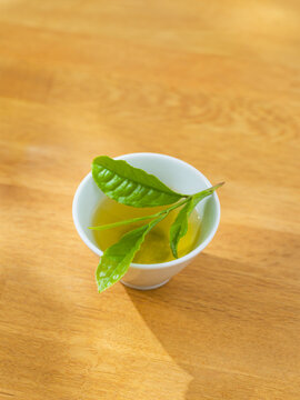茶葉　お茶