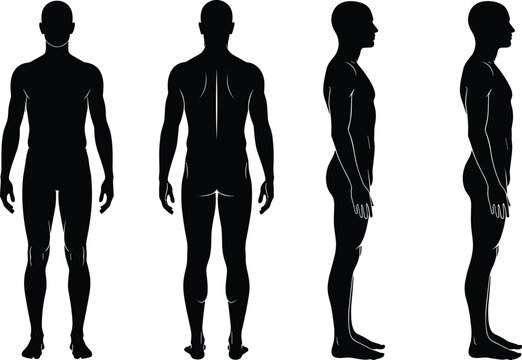 Male human body front back side views silhouette vector illustration set
