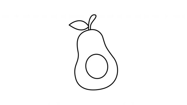 avocado line art doodle fruit
