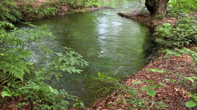 獅子ヶ鼻湿原湧水池出つぼ