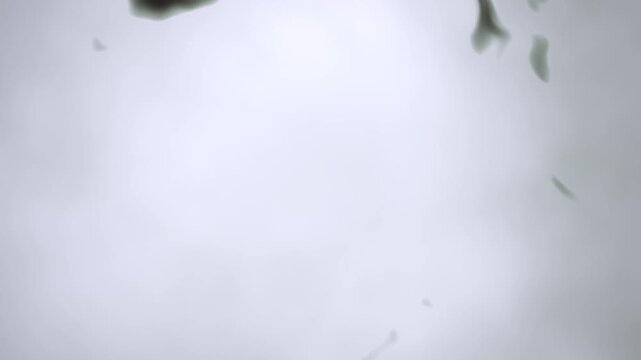 Abstract smoke wisps drift across a soft loop background