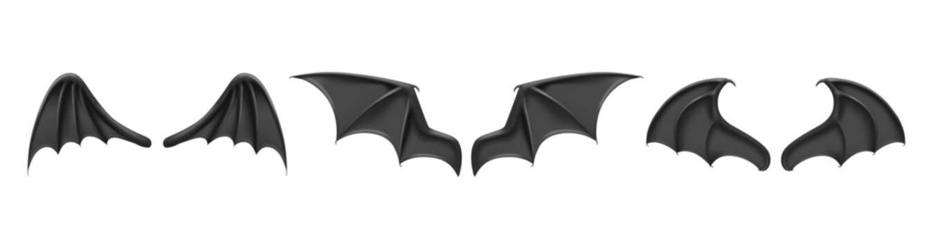 Monochrome stretched wings pair, isolated realistic bat flaps. Vector part of costume of fantasy creature or fictional personage. Bird or animal body elements, flying mammals forewings