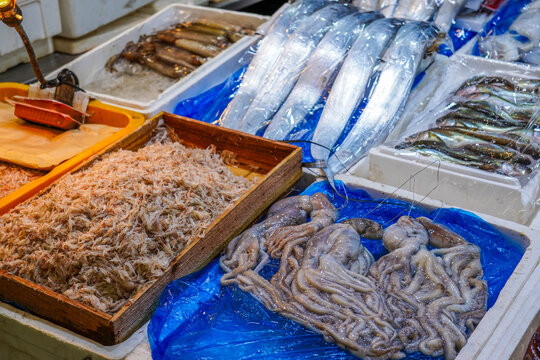 Fresh Small Shrimps And Octopus At Korean Market