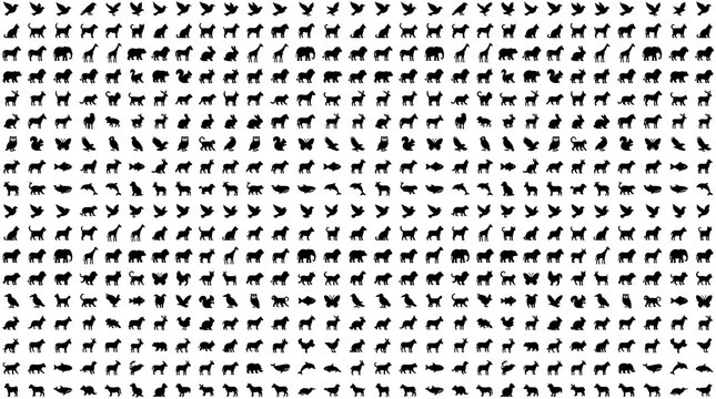 Silhouettes of Dogs in Motion