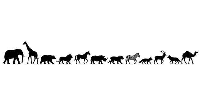 Silhouettes of Wild Animals in Sequence: A collection of diverse animal silhouettes, including an elephant, giraffe, bear, lion, horse, rhinoceros, zebra, deer, fox, and camel.