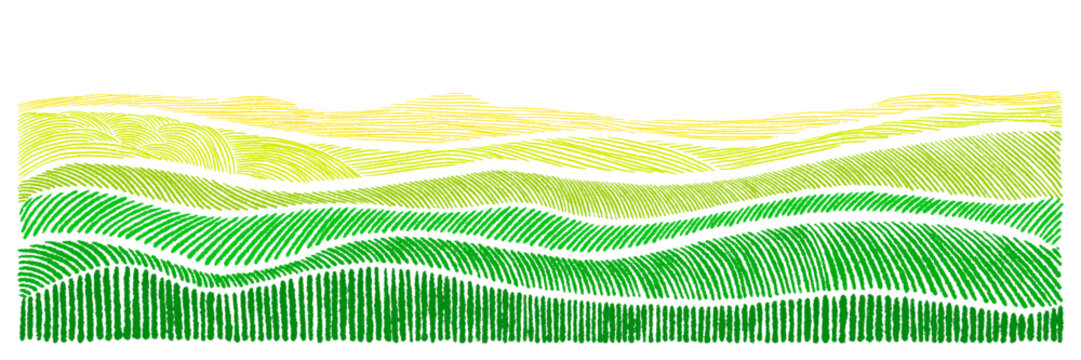 Agricultural field landscape with green grass texture. Vector hand drawn color illustration perfect for farm and village poster, featuring soft geometric line and abstract tuscany pattern. Scribble bg