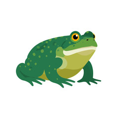 Fototapeta premium Green frog icon on transparent background