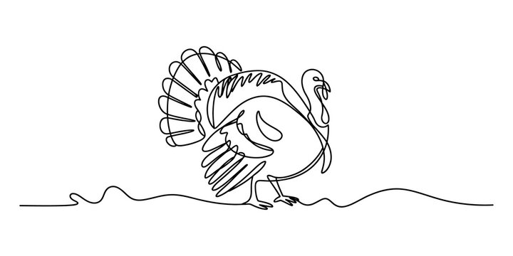 Continuous single line drawing of a turkey bird standing