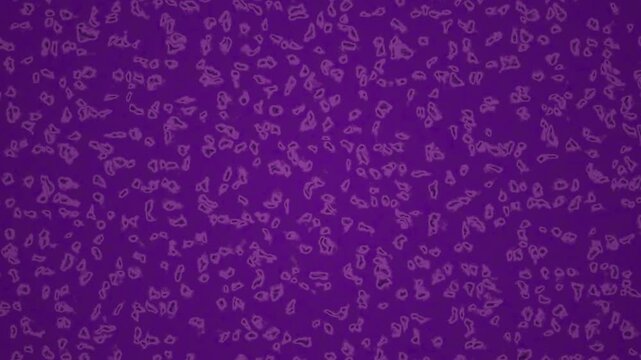 A seamless loop featuring scattered abstract shapes on a purple background