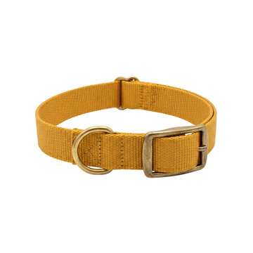 Nylon dog collar in mustard yellow with brass D-ring and buckle isolated transparent PNG