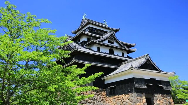 新緑の松江城