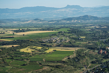 Obraz premium Vineyard Valley and Distant Mountains in La Rioja