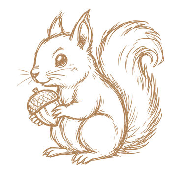Squirrel holding a nut in sketch style illustration isolated for World Animal Day  